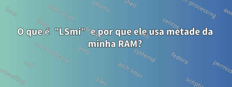 O que é "LSmi" e por que ele usa metade da minha RAM?