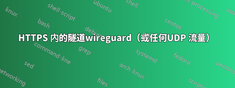 HTTPS 內的隧道wireguard（或任何UDP 流量）