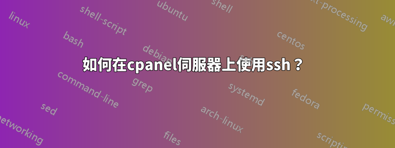 如何在cpanel伺服器上使用ssh？ 