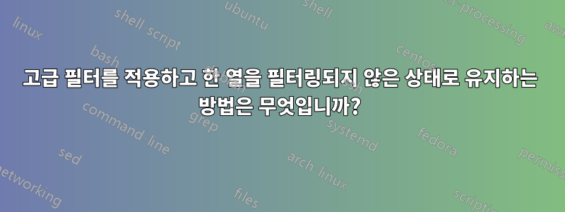 고급 필터를 적용하고 한 열을 필터링되지 않은 상태로 유지하는 방법은 무엇입니까?