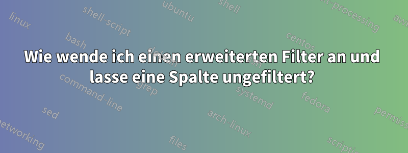 Wie wende ich einen erweiterten Filter an und lasse eine Spalte ungefiltert?