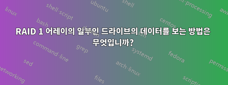 RAID 1 어레이의 일부인 드라이브의 데이터를 보는 방법은 무엇입니까?