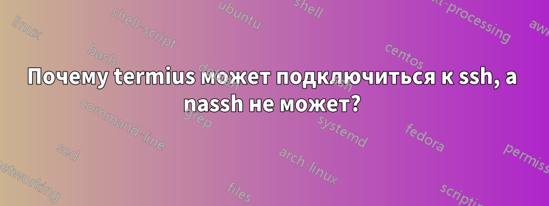 Почему termius может подключиться к ssh, а nassh не может?