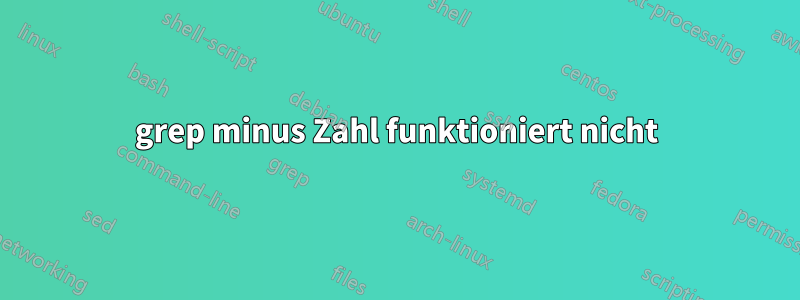 grep minus Zahl funktioniert nicht