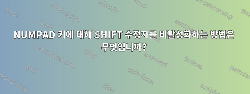 NUMPAD 키에 대해 SHIFT 수정자를 비활성화하는 방법은 무엇입니까?