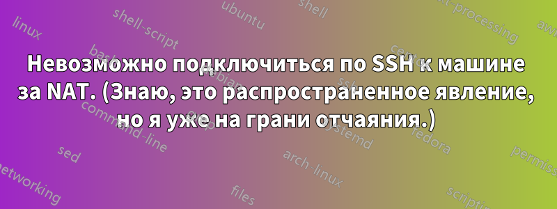 Невозможно подключиться по SSH к машине за NAT. (Знаю, это распространенное явление, но я уже на грани отчаяния.)