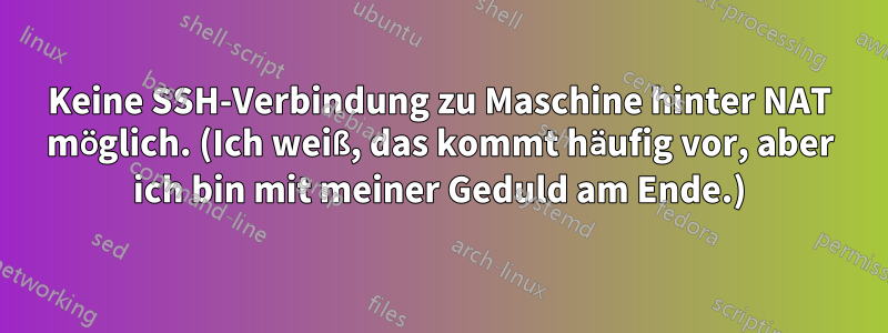 Keine SSH-Verbindung zu Maschine hinter NAT möglich. (Ich weiß, das kommt häufig vor, aber ich bin mit meiner Geduld am Ende.)