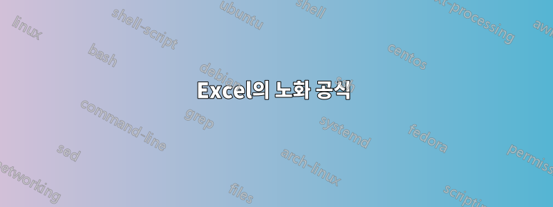 Excel의 노화 공식