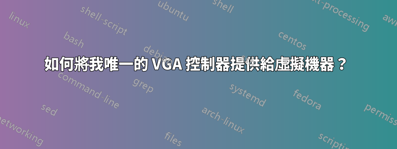 如何將我唯一的 VGA 控制器提供給虛擬機器？