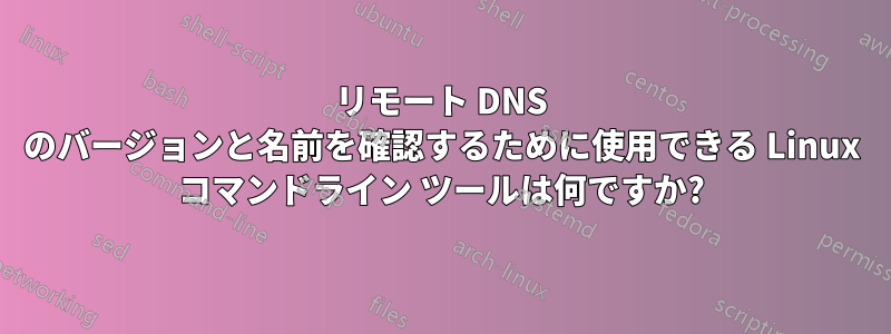 リモート DNS のバージョンと名前を確認するために使用できる Linux コマンドライン ツールは何ですか?