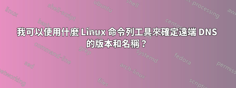 我可以使用什麼 Linux 命令列工具來確定遠端 DNS 的版本和名稱？