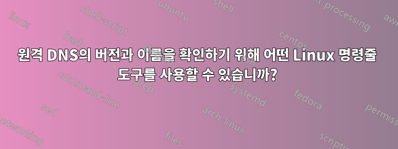 원격 DNS의 버전과 이름을 확인하기 위해 어떤 Linux 명령줄 도구를 사용할 수 있습니까?