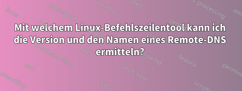 Mit welchem ​​Linux-Befehlszeilentool kann ich die Version und den Namen eines Remote-DNS ermitteln?