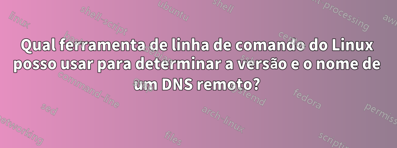 Qual ferramenta de linha de comando do Linux posso usar para determinar a versão e o nome de um DNS remoto?