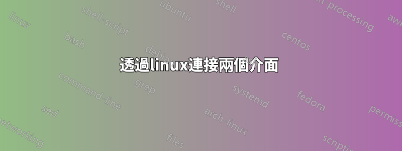 透過linux連接兩個介面