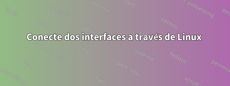 Conecte dos interfaces a través de Linux