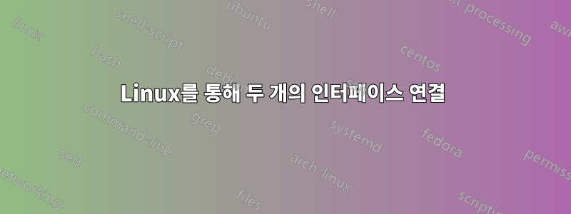 Linux를 통해 두 개의 인터페이스 연결