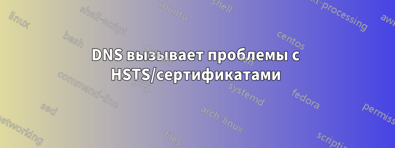 DNS вызывает проблемы с HSTS/сертификатами