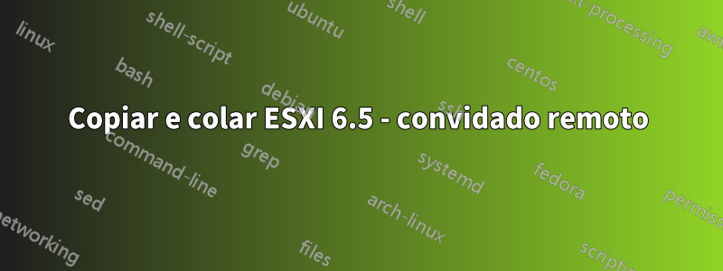 Copiar e colar ESXI 6.5 - convidado remoto