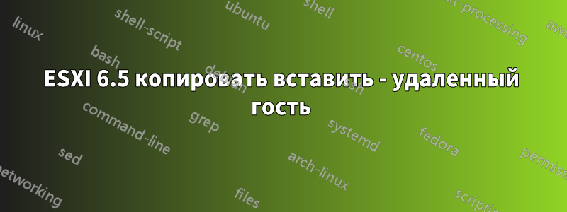 ESXI 6.5 копировать вставить - удаленный гость