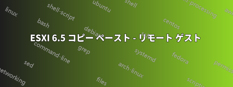 ESXI 6.5 コピー ペースト - リモート ゲスト