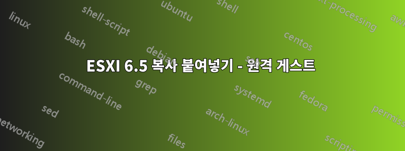 ESXI 6.5 복사 붙여넣기 - 원격 게스트