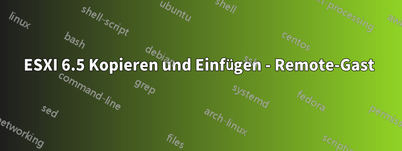 ESXI 6.5 Kopieren und Einfügen - Remote-Gast