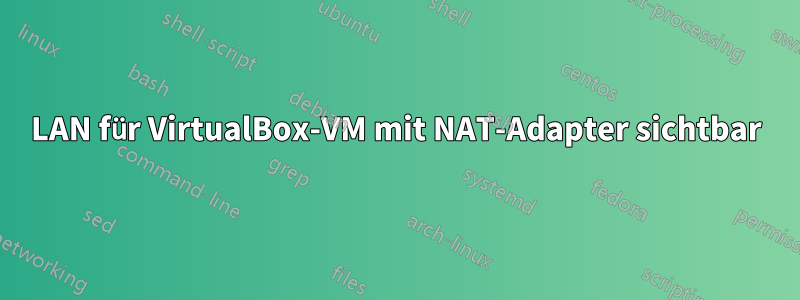 LAN für VirtualBox-VM mit NAT-Adapter sichtbar