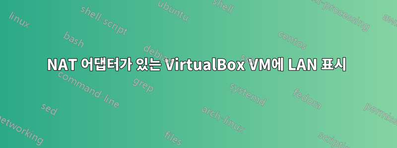 NAT 어댑터가 있는 VirtualBox VM에 LAN 표시