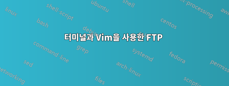 터미널과 Vim을 사용한 FTP