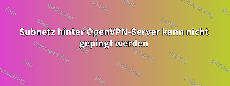 Subnetz hinter OpenVPN-Server kann nicht gepingt werden