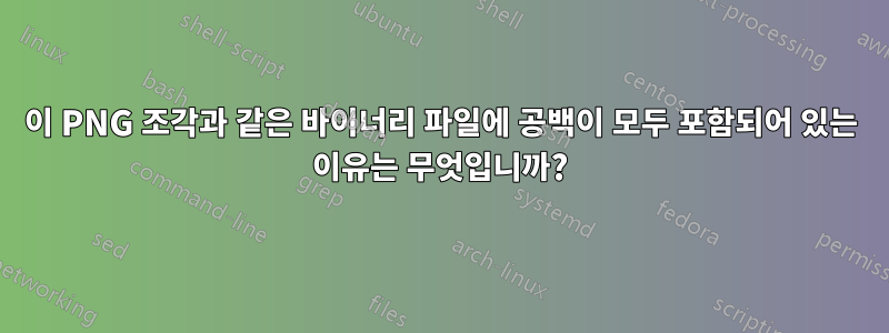 이 PNG 조각과 같은 바이너리 파일에 공백이 모두 포함되어 있는 이유는 무엇입니까?