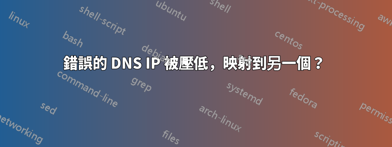 錯誤的 DNS IP 被壓低，映射到另一個？