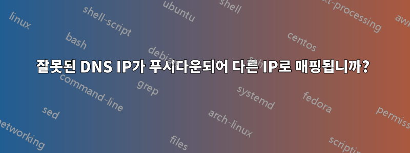 잘못된 DNS IP가 푸시다운되어 다른 IP로 매핑됩니까?