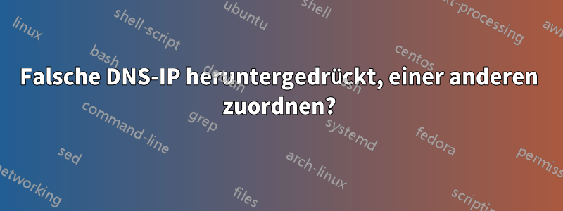 Falsche DNS-IP heruntergedrückt, einer anderen zuordnen?