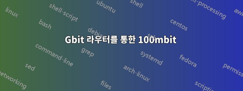 1Gbit 라우터를 통한 100mbit