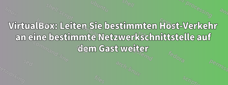 VirtualBox: Leiten Sie bestimmten Host-Verkehr an eine bestimmte Netzwerkschnittstelle auf dem Gast weiter