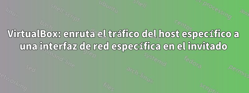 VirtualBox: enruta el tráfico del host específico a una interfaz de red específica en el invitado