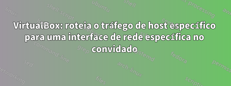 VirtualBox: roteia o tráfego de host específico para uma interface de rede específica no convidado