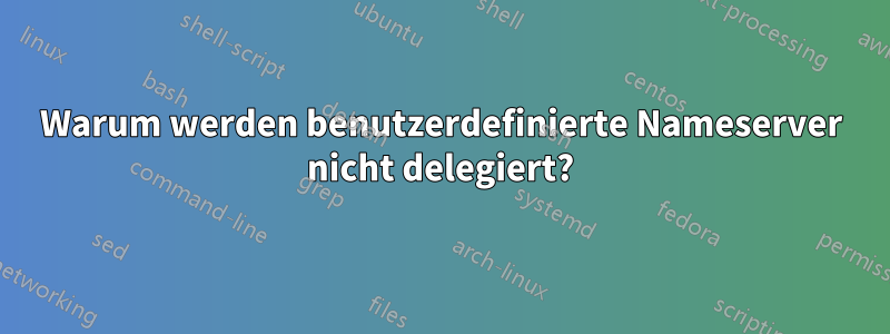 Warum werden benutzerdefinierte Nameserver nicht delegiert?