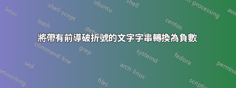 將帶有前導破折號的文字字串轉換為負數