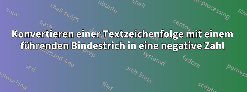 Konvertieren einer Textzeichenfolge mit einem führenden Bindestrich in eine negative Zahl