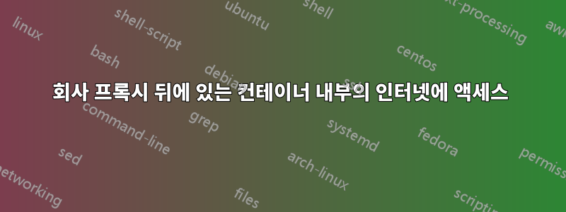 회사 프록시 뒤에 있는 컨테이너 내부의 인터넷에 액세스