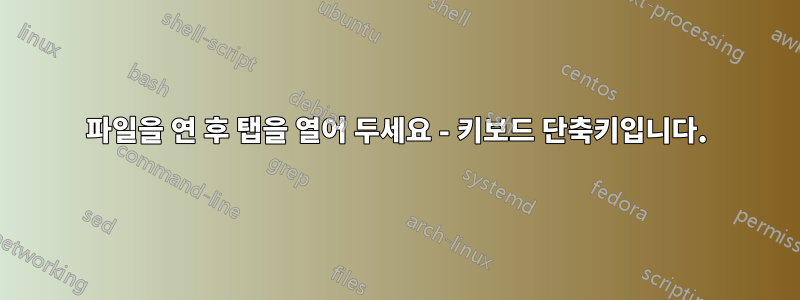 파일을 연 후 탭을 열어 두세요 - 키보드 단축키입니다.