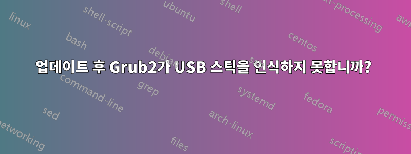 업데이트 후 Grub2가 USB 스틱을 인식하지 못합니까?