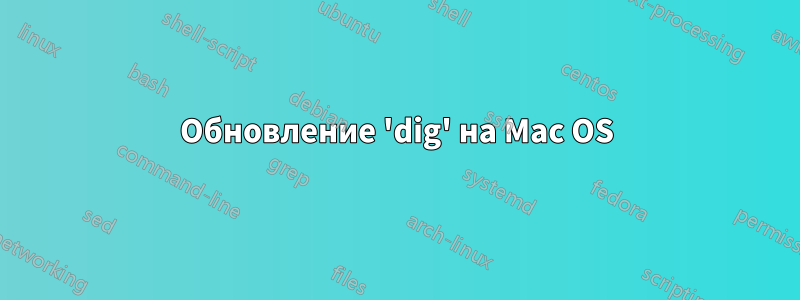 Обновление 'dig' на Mac OS