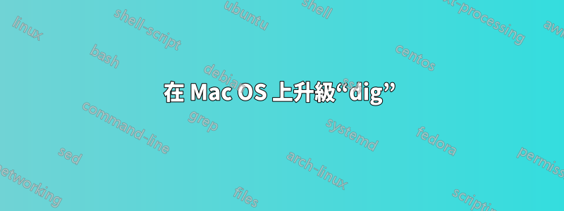 在 Mac OS 上升級“dig”