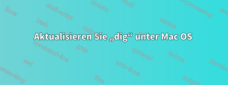 Aktualisieren Sie „dig“ unter Mac OS