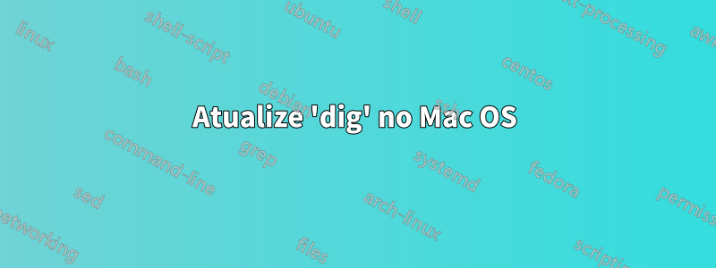Atualize 'dig' no Mac OS