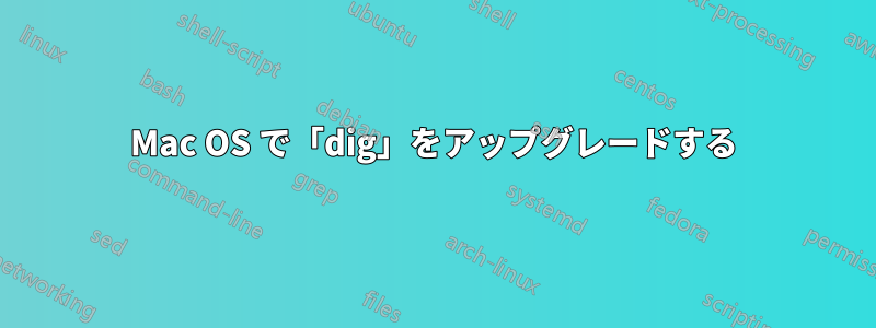 Mac OS で「dig」をアップグレードする